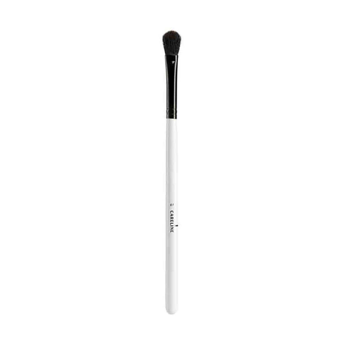 התמונה הראשית של The Brushes מברשת איפור לטשטוש צלליות